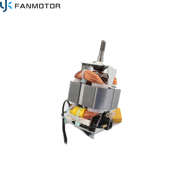 AC 220V 700W Juicer Processor Machine Motor